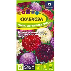 Семена Семена Скабиоза тёмно-пурпурная смесь, арт.: 10634