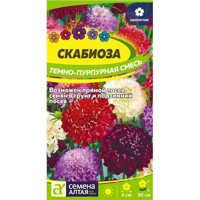 Семена Семена Скабиоза тёмно-пурпурная смесь, арт.: 10634