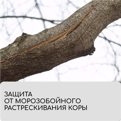 Бинт садовый, 10×0.08 м, плотность 60 г/м², спанбонд с УФ-стабилизатором, белый, Greengo, Эконом 20%