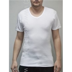 Футболка мужская GT002