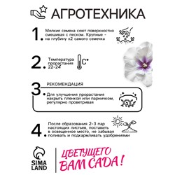 Семена комнатных цветов Глоксиния Аванти «Светло-фиолетовая», F1, «Гавриш», 4 шт.