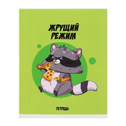 Комплект тетрадей из 5 штук, 48 листов в клетку Calligrata "Дерзкий енот", обложка мелованный картон, блок офсет