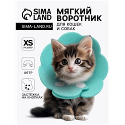 Ветеринарный воротник из фетра "Ромашка", размер XS, бирюзовый
