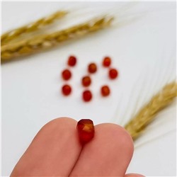 Радуга Самоцветов Бусины для украшений из Сердолика (10 шт)