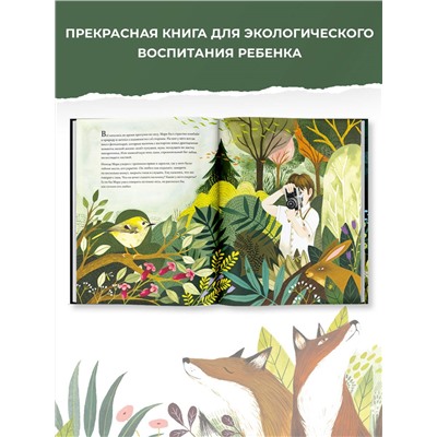 Лисёнок возвращается домой