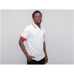 Поло Lacoste