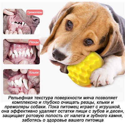 Игрушка-пищалка для собак, жевательная, "колючий" мяч К2202А
