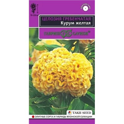 Семена Целозия гребенчатая Курум желтая, арт.: 11707