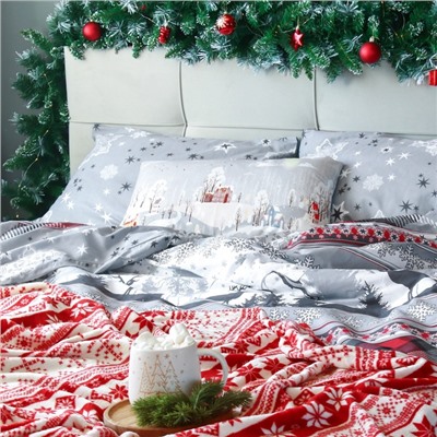 Постельное бельё Этель 1.5сп Snow time 143х215см,150х214см,50х70см-2 шт