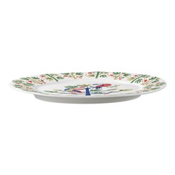 Набор тарелок Toucan из коллекции Birds of Paradise в подарочной упаковке, Ø28 см, 2 шт.