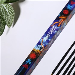 Благовония «Дыхание природы ПАЛО САНТО», 8 палочек