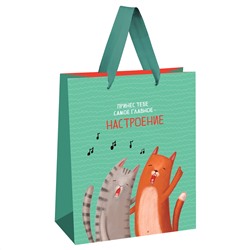 Пакет подарочный 18*23*10см MESHU "Настроение" MS_51873/12/Китай