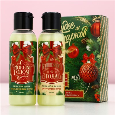 Новогодний подарочный набор косметики «Чудес и подарков»: гель для душа и пена для ванны, 2×100 мл, Чистое счастье