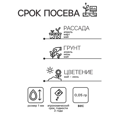 Семена Гвоздика садовая "Шабо", ц/п,  розина, 0,05 г