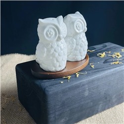 235-097 Набор солонок на подставке TROPICAL в под.уп.(х36) Фарфор