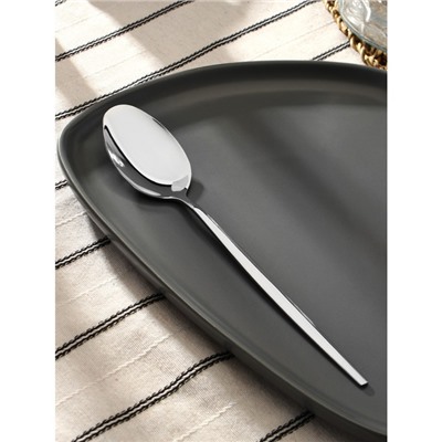 Ложка столовая Magistro «Блинк», длина 22 см, нержавеющая сталь, серебристая