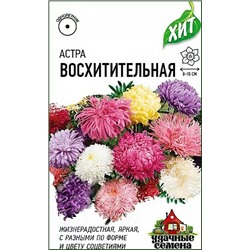 Семена Астра Восхитительная, арт.: 3503