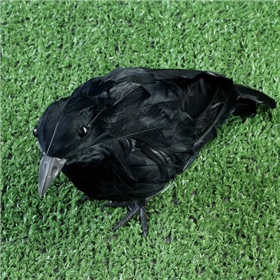 Фигурка TAKE IT EASY «Ворон», 27×8×17 см