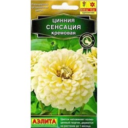 Цинния Сенсация Кремовая Аэлита
