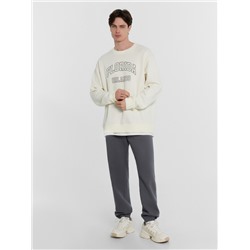 БРЮКИ МУЖСКИЕ 181260