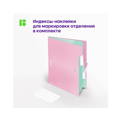 Папка 5 отделений Berlingo "Haze", А4, 600мкм, на кнопке, розовая, софт-тач