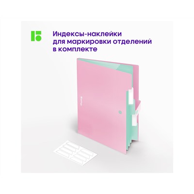 Папка 5 отделений Berlingo "Haze", А4, 600мкм, на кнопке, розовая, софт-тач