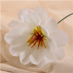 Цветы искусственные «Одиночка криспа», h=20 см, d=11 см, белые