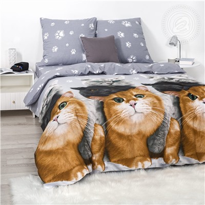 КПБ Пушистый патруль поплин Арт Дизайн