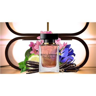 DOLCE & GABBANA The Only ONE lady 50ml edp
