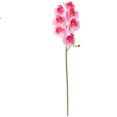 SMYCKA Kunstblume, drinnen/draußen/Orchidee rosa, 60 cm