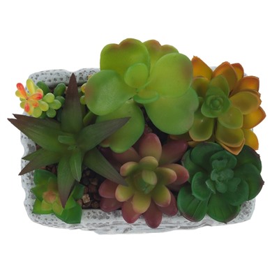 Цветочная композиция "Суккуленты", L16 W11,5 H16 см