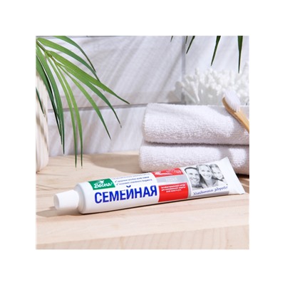 Зубная паста «Весна», антибактериальная, для всей семьи, 90 г