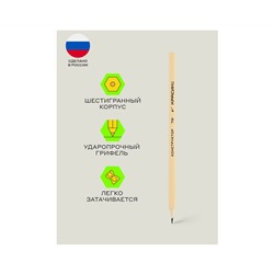 Набор карандашей ч/г Красин "Конструктор" 12шт., 2Т (2Н), Т (Н)-2, ТМ (НВ)-4, М (В)-3, 2М (2В)-2, шестигран., заточен., ПП пакет, европодвес