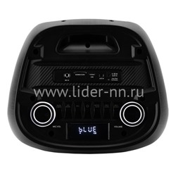 Колонка 08" (30-71 CRAZY BOX 1000) динамик 2шт/8" ELTRONIC с TWS