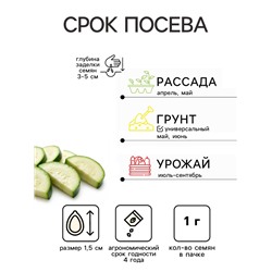 Семена Кабачок цукини «Щедрый богатырь», 1 г, раннеспелый, «Аэлита»