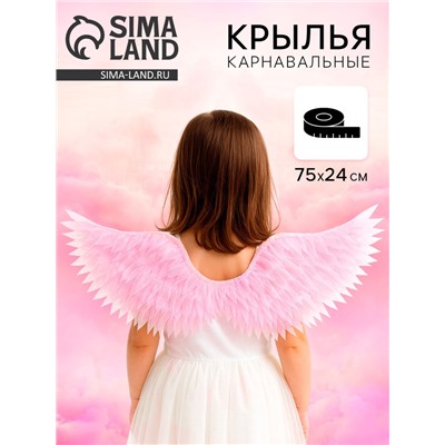 Карнавальные крылья «Ангел», двухсторонние, розовые, 75×24