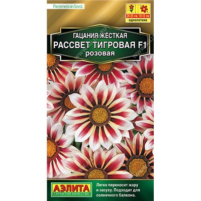 1221 Гацания Рассвет F1 тигровая розовая 5шт