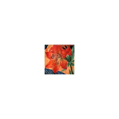 Купальник №C406-2 2024 Chantemely Дроп формовка слип