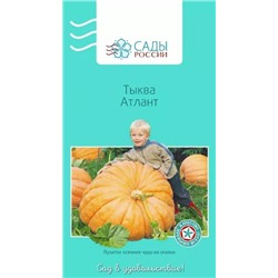 Тыква Атлант, арт.: 3985