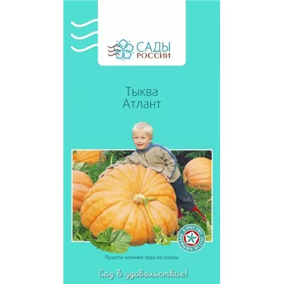 Тыква Атлант, арт.: 3985