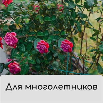 Чехол для укрытия растений, металлический каркас, 120×75 см, спанбонд с УФ-стабилизатором, плотность 60 г/м²