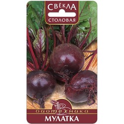 Свекла Мулатка