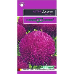 Семена Астра Джувел аметист, арт.: 3511