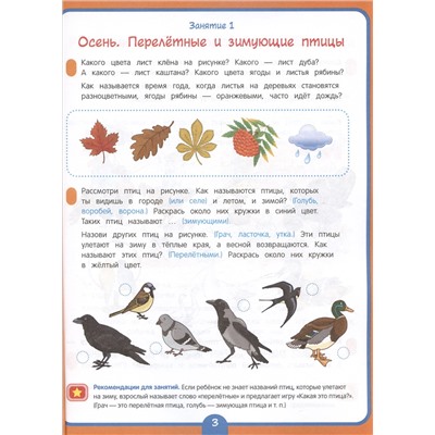 Годовой курс развивающих занятий для детей 4 лет