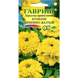 Бархатцы Купидон Лимонно-желтый прямостоячие, арт.: 3670