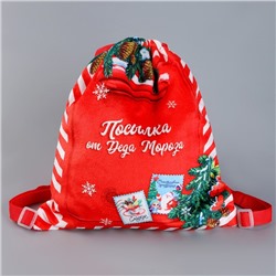 Рюкзак - мешок детский новогодний «Посылка от Деда Мороза», 35×30 см