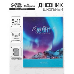 Дневник школьный для 1-11 классов «Северное сияние», твёрдая обложка, голография, 40 листов