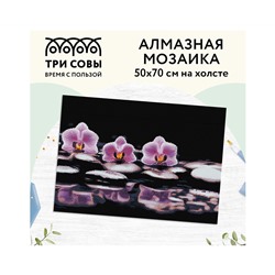 Алмазная мозаика ТРИ СОВЫ "Орхидеи", 50*70см, холст, картонная коробка с пластиковой ручкой