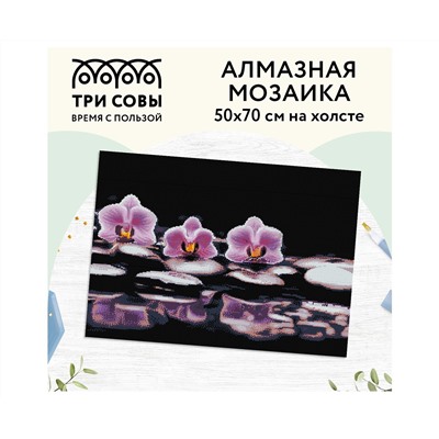 Алмазная мозаика ТРИ СОВЫ "Орхидеи", 50*70см, холст, картонная коробка с пластиковой ручкой