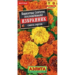 1143 Бархатцы Избранник отклоненные, смесь сортов 0,3гр